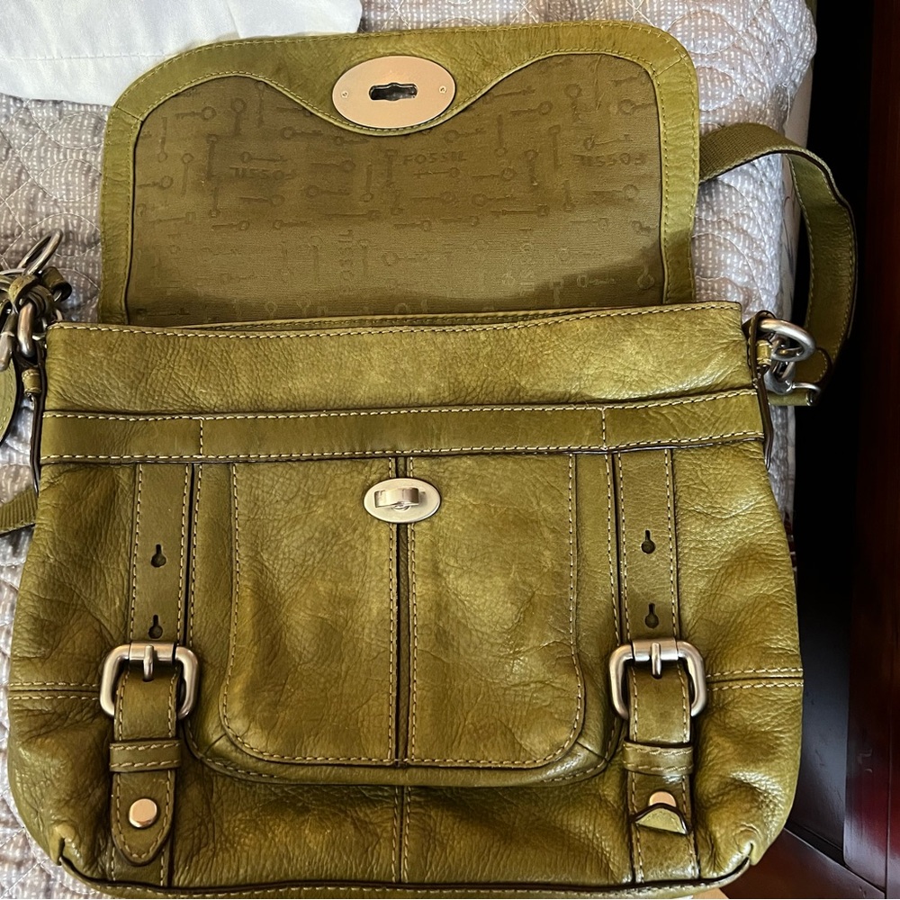 Real green leather fossil